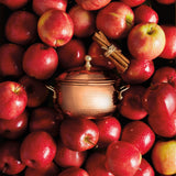 Simmered Cider Copper Pot 3 Wick Candle