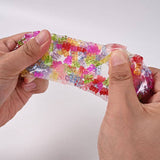 Crunch & Squish Fidget Toy