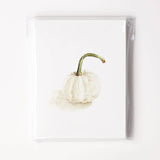 Autumn assorted notecard set