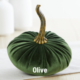 Pumpkin Small Velvet Fall Decor Gift for New Apartment Best: Ivory