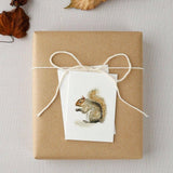 Squirrel woodland mini enclosure notecard