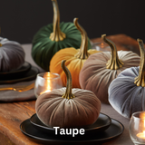 Pumpkin Small Velvet Fall Decor Gift for New Apartment Best: Gold