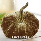 Pumpkin Large Velvet, Fall Decor, Shelf Sitter, Tablescape: Bronze