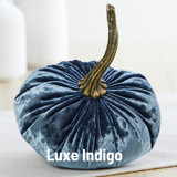 Pumpkin Small Velvet Fall Decor Gift for New Apartment Best: Harvest