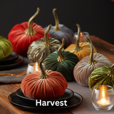 Pumpkin Small Velvet Fall Decor Gift for New Apartment Best: Harvest