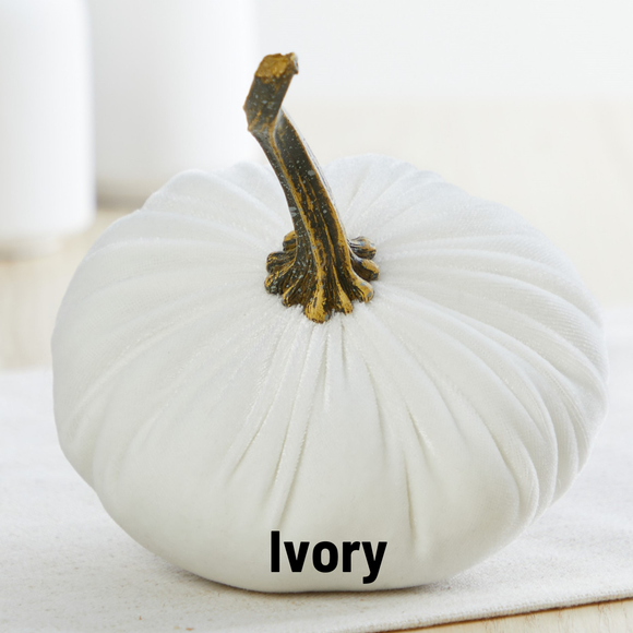 Pumpkin Small Velvet Fall Decor Gift for New Apartment Best: Ivory