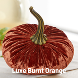 Pumpkin Large Velvet, Fall Decor, Shelf Sitter, Tablescape: Harvest