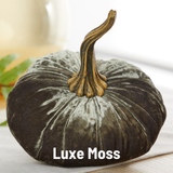 Pumpkin Large Velvet, Fall Decor, Shelf Sitter, Tablescape: Bronze