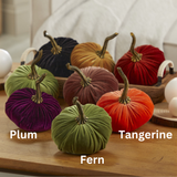 Pumpkin Small Velvet Fall Decor Gift for New Apartment Best: Harvest