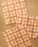 Pumpkin Check Dishcloth Set