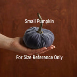 Pumpkin Small Velvet Fall Decor Gift for New Apartment Best: Gold