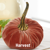 Pumpkin Large Velvet, Fall Decor, Shelf Sitter, Tablescape: Olive