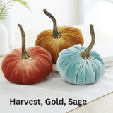 Pumpkin Small Velvet Fall Decor Gift for New Apartment Best: Bronze