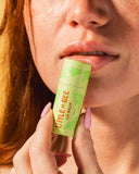 Little Bee Lip Balm: Spiced Chai