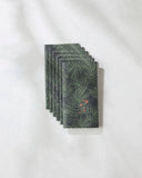 Evergreen Pine Not Paper Towel