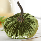 Pumpkin Small Velvet Fall Decor Gift for New Apartment Best: Olive