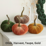 Pumpkin Small Velvet Fall Decor Gift for New Apartment Best: Gold