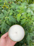 Tomato Leaf Soy Wax Candle: 8 ounce