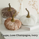 Pumpkin Small Velvet Fall Decor Gift for New Apartment Best: Gold