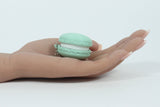Macaron Click Fidget | Sensory | Loud or Silent: Light Green / Loud