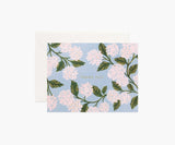 Boxed Set of Hydrangea Thank You Cards