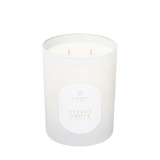 Citrus Grove 2-Wick Candle