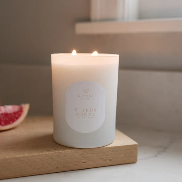 Citrus Grove 2-Wick Candle